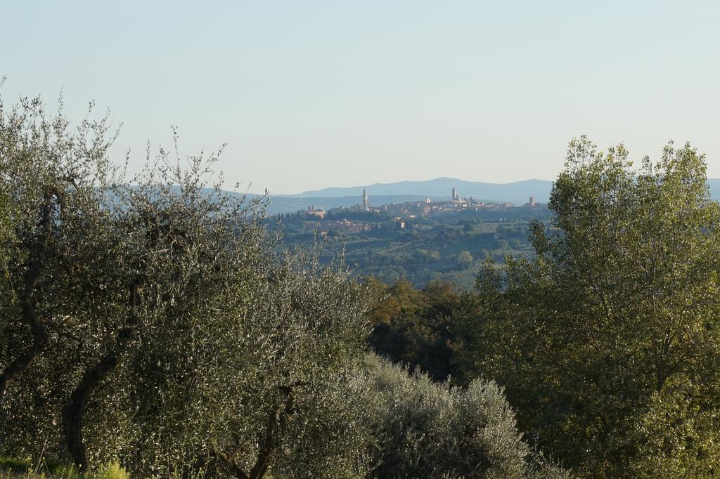 Casa Lucia In Chianti Bed & Breakfast Vagliagli Exterior photo