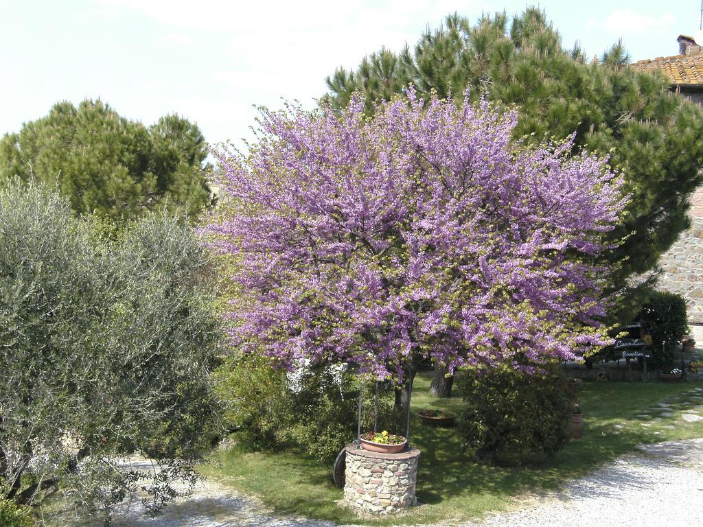 Casa Lucia In Chianti Bed & Breakfast Vagliagli Exterior photo